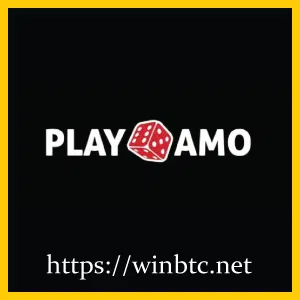 PlayAmo Casino: #1 Provably Fair (Multi-Cryptocurrency) Online Casino