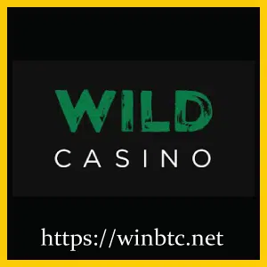 Wild Casino: #1 Bitcoin Casino Accepting Players From USA